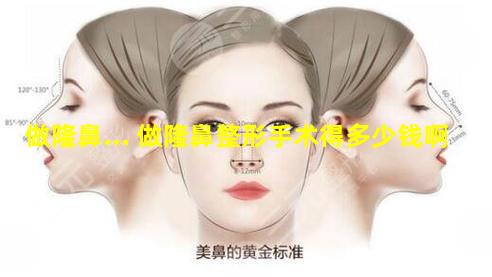 做隆鼻... 做隆鼻整形手术得多少钱啊